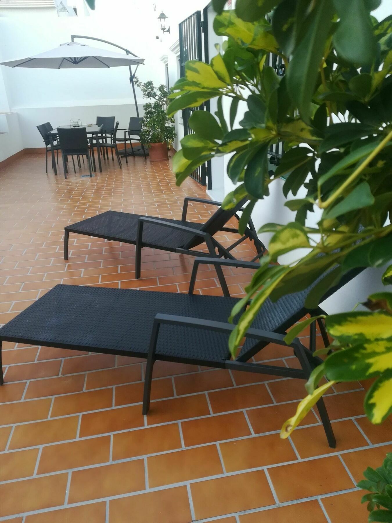 Hostal Boutique Casa La Laja Чиклана-де-ла-Фронтера Екстер'єр фото